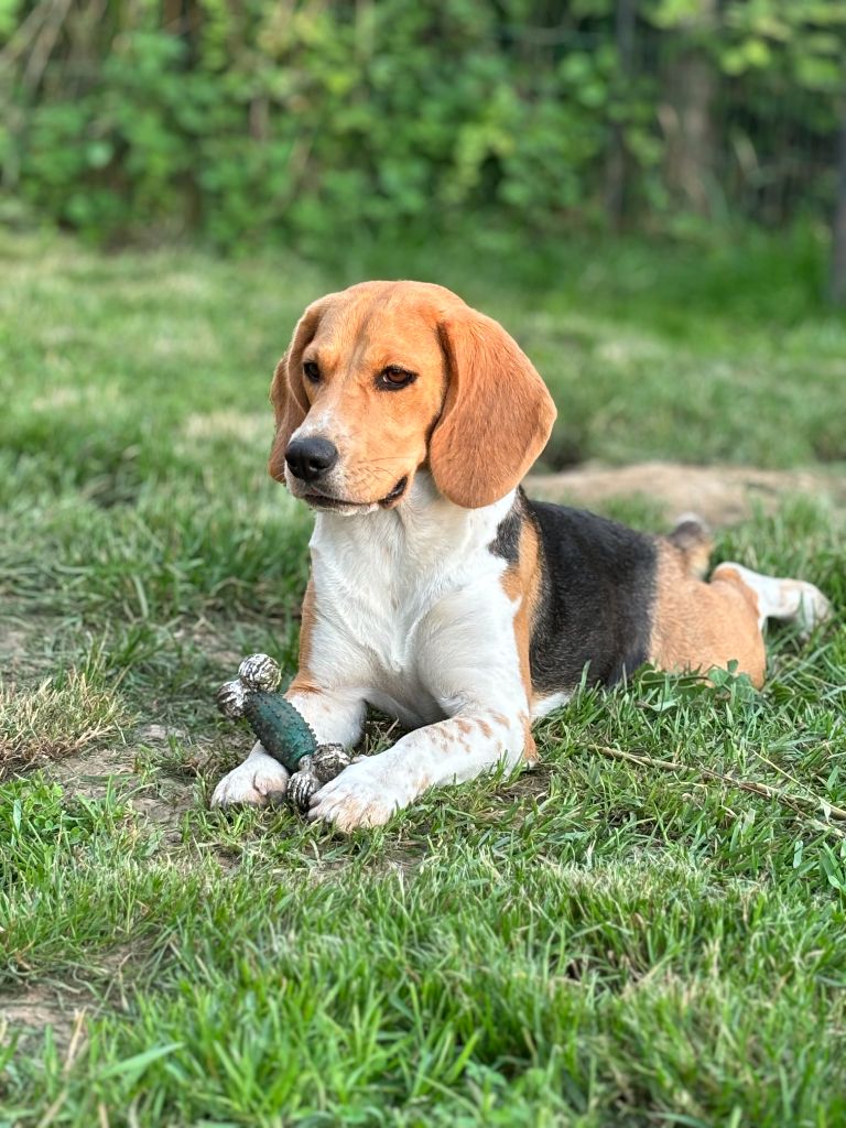 Un heureux évènement pour la nouvelle année..